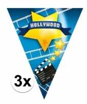 3x vlaggenlijnen hollywood 5 meter